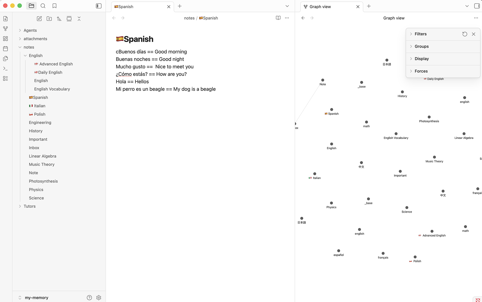 Atomus vault with markdown notes